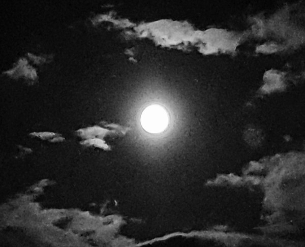            가장 밝은 모습의 한가위 보름달.