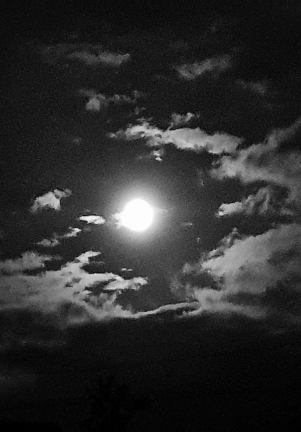                      흑백으로 본 한가위 보름달 모습. 