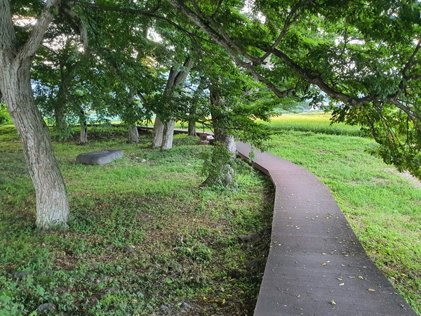 서어나무 숲 입구.