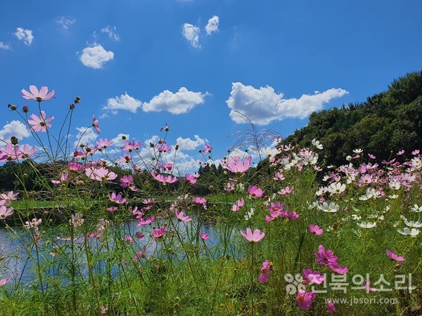무엇이 꽃이고 구름고 하늘이고 호수인지...