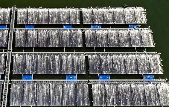 새똥으로 법벅이 된 새만금 수상 태양광 패널들.(자료사진)