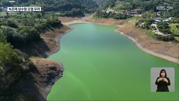 9월 27일 KBS전주총국 뉴스9 보도 화면 편집