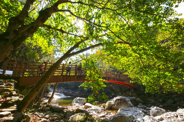 무주군 구천동 어사길(사진=무주군 제공)