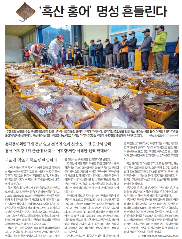 광주일보 11월 11일 1면 기사(PDF 지면 서비스 캡처)