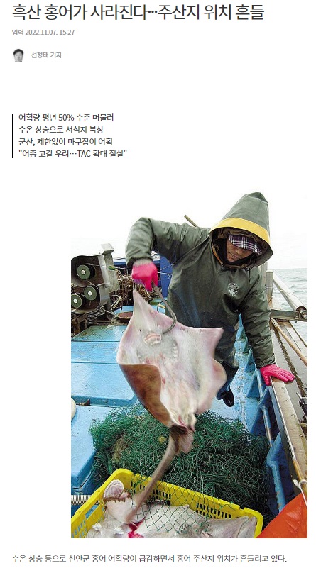 무등일보 11월 7일 인터넷판 기사(홈페이지 갈무리)