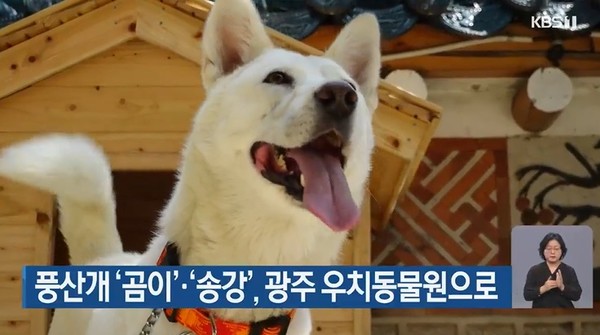 KBS광주방송총국 12월 9일 뉴스 화면(캡처)