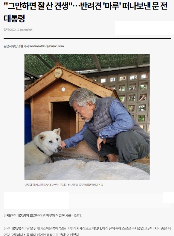 부산일보 12월 10일 인터넷판 기사(홈페이지 갈무리)