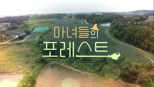 전주MBC ‘마녀들의 포레스트’ 프로그램 안내 화면(캡처)