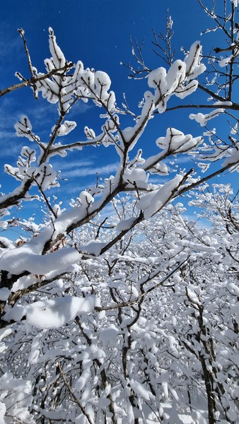덕유산 설경(사진=박용근 제공)