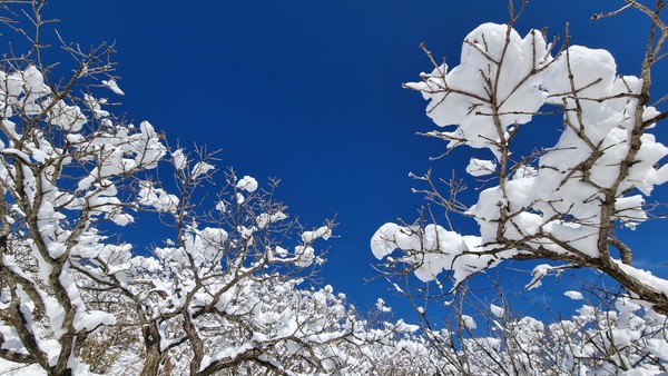 덕유산 향적봉에 핀 하얀 눈꽃(사진=박용근 제공)