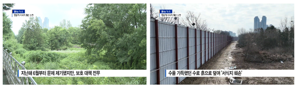 1월 19일 자 SKB전주방송 Btv 뉴스 보도 화면 편집