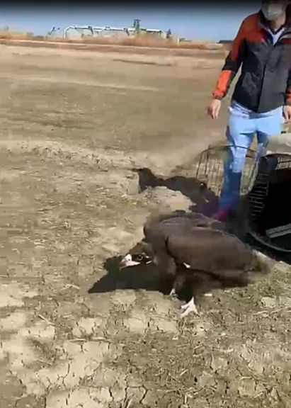 사진=전북야생동물구조관리센터 제공