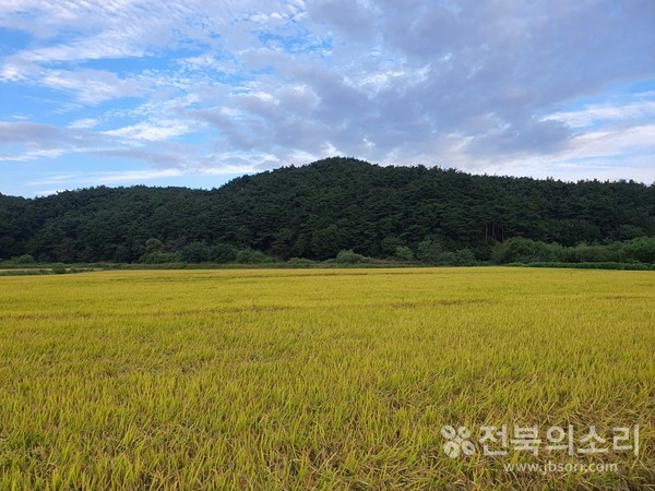 농촌 들녘(자료사진)