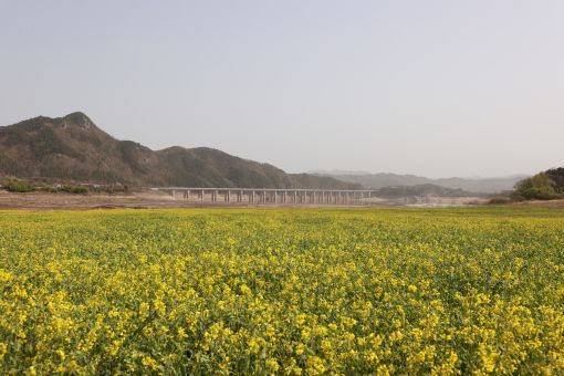 사진=진안군 제공