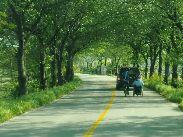 신태인역 못미처 싱그러운 가로수 길을 지나는 성환 씨 모습. 가로수 길이 그의 인품과 같다는 생각이 들었다.