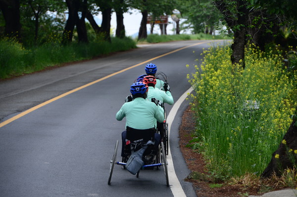 마지막 100m 내리막을 질주하는 '손으로 국토 종단팀'. 이 내리막길 끝에 목적지인 땅끝항이 있다.