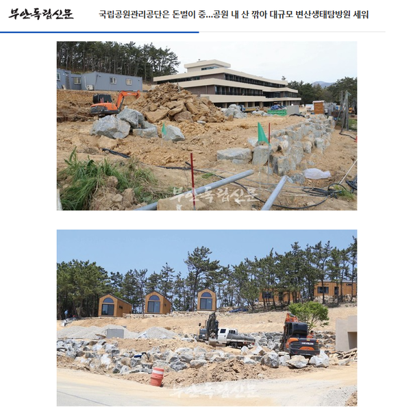 5월 19일 자 부안독립신문 홈페이지 보도 화면 편집