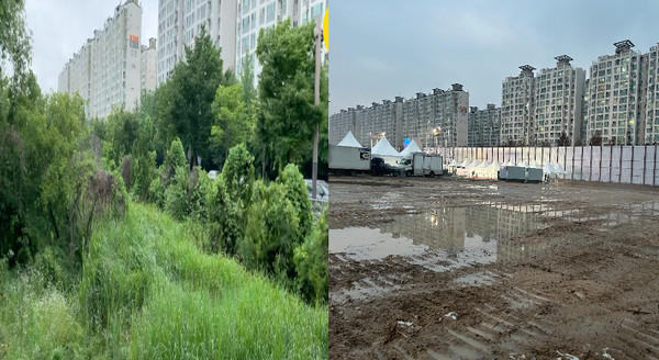 전북환경운동연합과 전주시의회 한승우 의원은 "최근 옛 대한방직 전주공장 부지 내에서 멸종위기종인 맹꽁이 서식지가 추가로 발견됐다"며 "시급한 보호대책 마련"을 촉구했다.(사진=전북환경운동연합 제공)