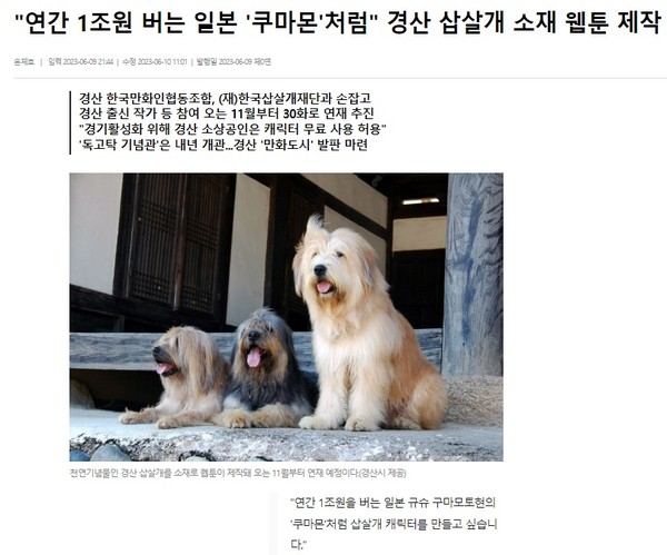 영남일보 6월 9일 인터넷판 기사(홈페이지 갈무리)