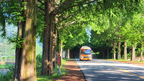 사진=진안군 제공