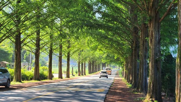 사진=진안군 제공