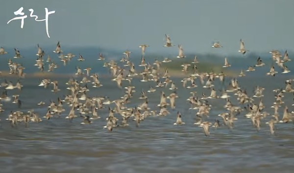 영화 '수라' 예고편 한 장면(유튜브 캡처)