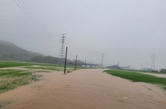 14일 군산과 익산에 최대 400mm의 비가 쏟아져 많은 농경지들이 침수됐다.(사진=군산시 제공)