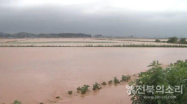  최고 500㎜ 이상의 비가 5일 동안 쏟아지면서 전북지역에서는 축구장(0.714㏊) 약 2만개 크기 면적의 농작물이 물에 잠겼다.
