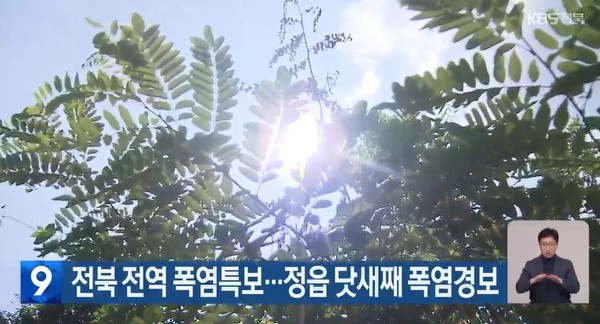 KBS 전주총국 7월 30일 뉴스 화면 캡처