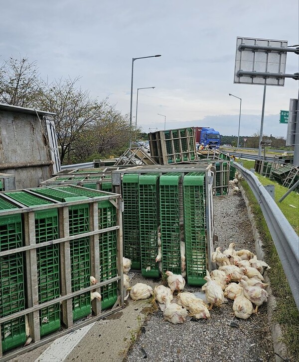 사진=전북소방본부 제공