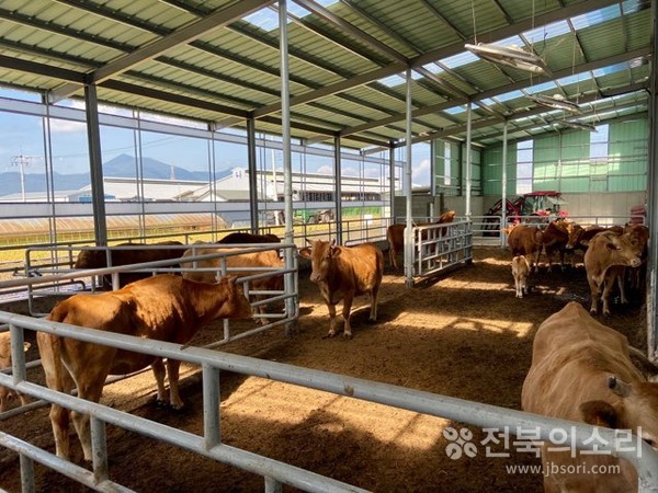 한우농가(자료사진)