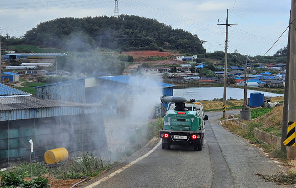 최근 소 럼피스킨병 의심신고가 접수된 전남 해남지역서 공동방제단이 축산농가 주변을 연무소독하고 있다.(사진=전남도 제공)