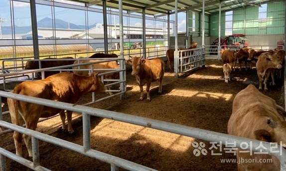 한우농가(자료사진)