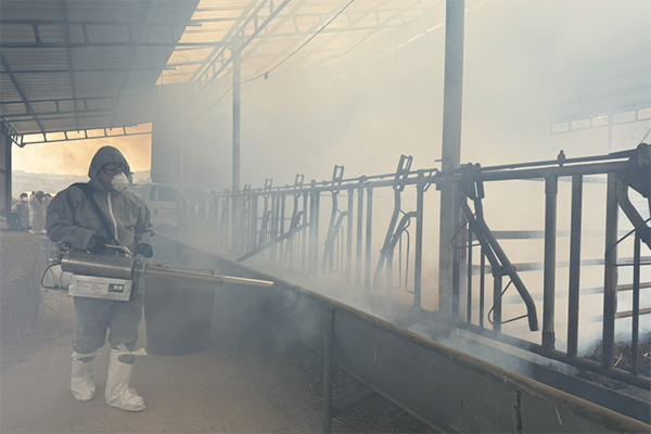 한우농가 방역 모습.(사진=강원도 횡성축협 제공)