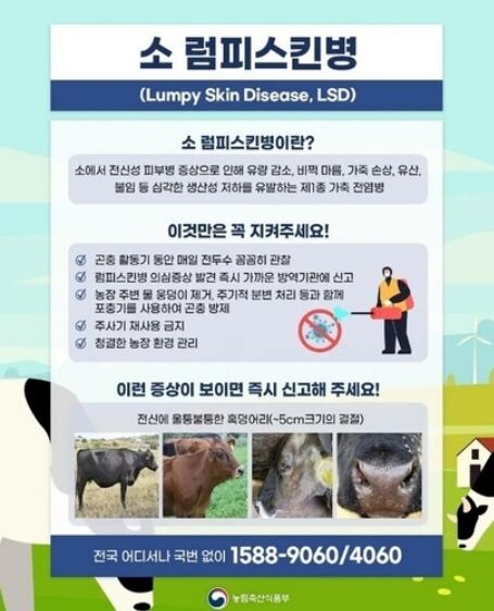 럼피스킨병 예방 수칙(자료=농림축산식품부 제공)