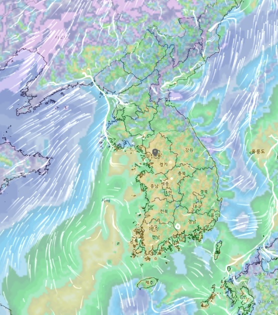 기상청 '초단기 바람 예측도'(2023년 12월 4일 오전 5시 기준, 사진=기상청 홈페이지 갈무리)