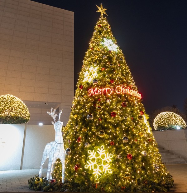 사진=전북대 제공