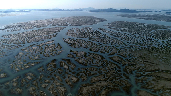 다큐멘터리 영화 '수라' 스틸 컷(사진=황윤 제공)