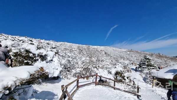 기상청은 23일 새벽 4시를 기해 정읍과 순창지역에 대설경보를, 군산·김제·고창·부안·임실지역에 대설주의보를 각각 발령했다.(전북의소리 자료사진)