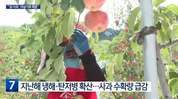 KBS전주총국 3월 19일 뉴스 화면(영상 갈무리)