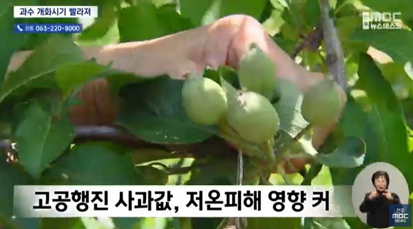 전주MBC 3월 19일 뉴스 화면(영상 갈무리)