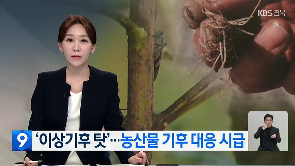 3월 19일 자 KBS전주총국 뉴스9 보도 화면 편집