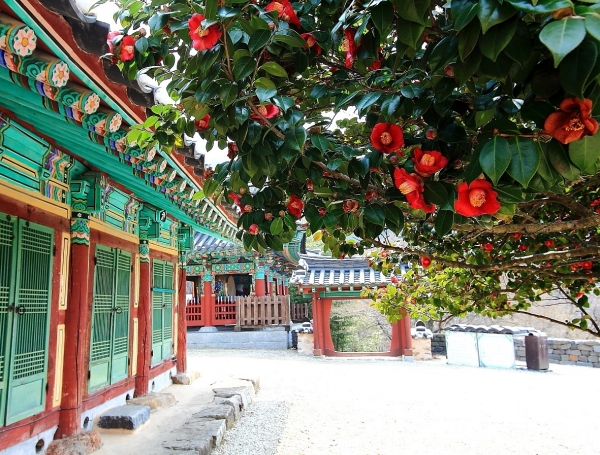 사진=고창군 제공