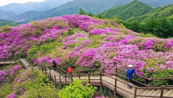 자료사진=남원시 제공