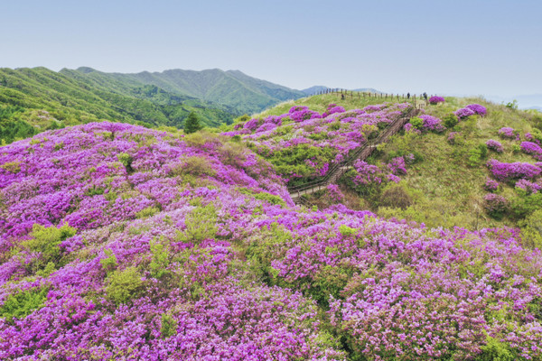자료사진=남원시 제공