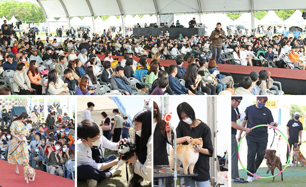 사진=임실군 제공