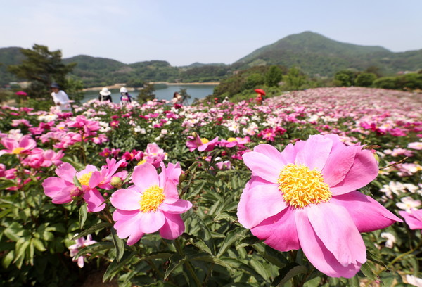 사진=임실군 제공