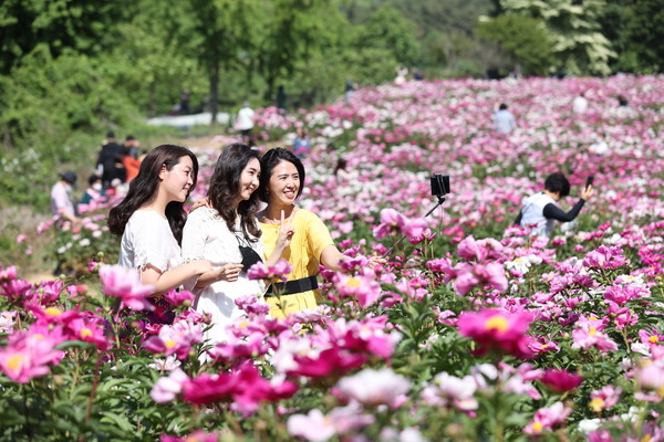 사진=임실군 제공