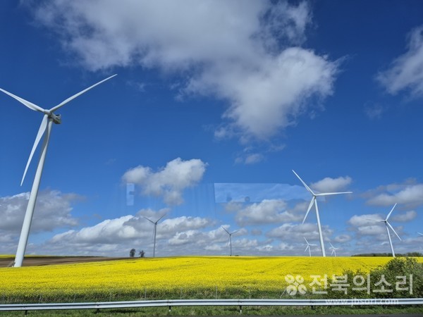 라발에서 숙소로 이동하며 담은 차창 밖의 너른 꽃밭과 풍차 모습.