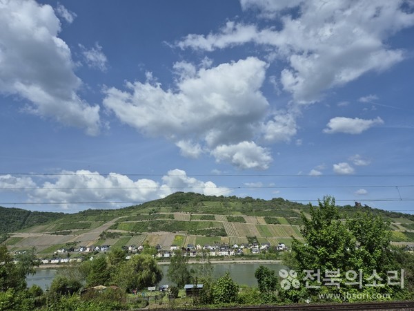 코블렌츠 도시 공원(사진 위)과 포도밭이 길게 펼쳐져 있는 마을 모습.(사진 아래) 